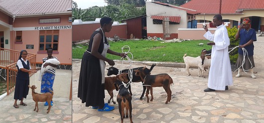 Porodówka w Nyabwina w Ugandzie Porodówka w Nyabwina w Ugandzie